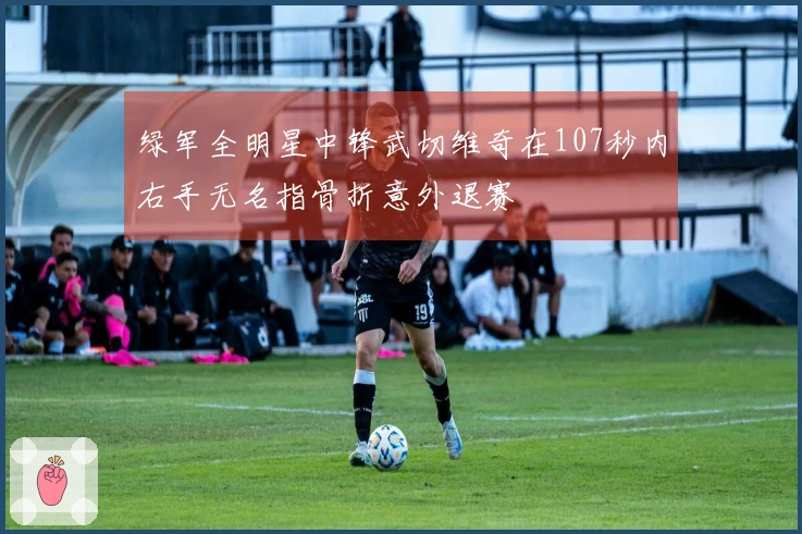 绿军全明星中锋武切维奇在107秒内右手无名指骨折意外退赛